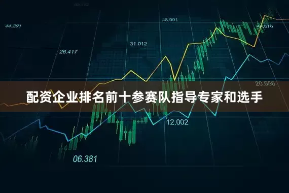 配资企业排名前十参赛队指导专家和选手