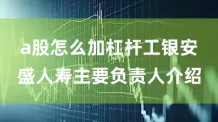 a股怎么加杠杆工银安盛人寿主要负责人介绍