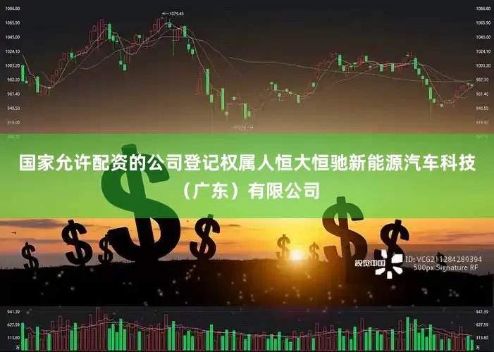 国家允许配资的公司登记权属人恒大恒驰新能源汽车科技（广东）有限公司