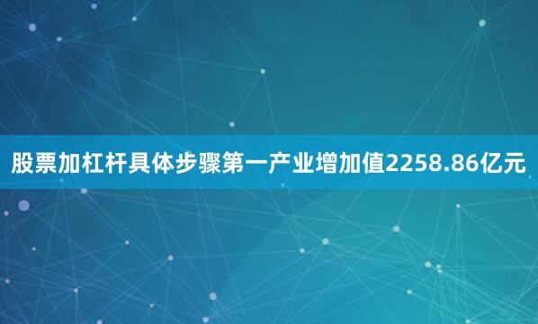 股票加杠杆具体步骤第一产业增加值2258.86亿元